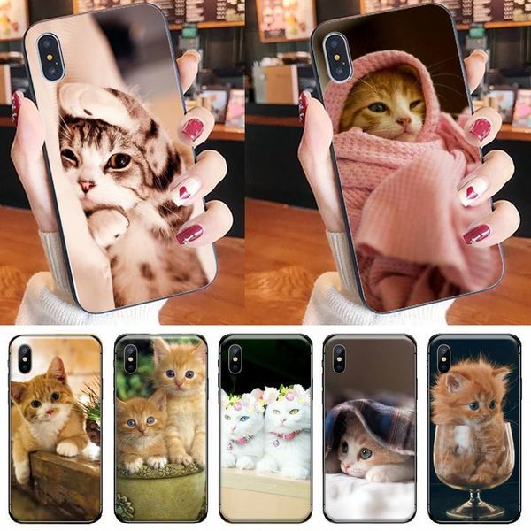 kitten cute animal fashion phone case for iphone 11 12 pro xs max 8 7 6 6s plus x 5s se 2020 xr
kitten cute animal fashion phone case for iphone 11 12 pro xs max 8 7 6 6s plus x 5s se 2020 xr