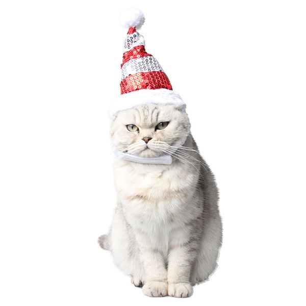 dog mixed batch new year stage drs up pet christmas suppli stripe sequin comfortable hat
dog mixed batch new year stage drs up pet christmas suppli stripe sequin comfortable hat
