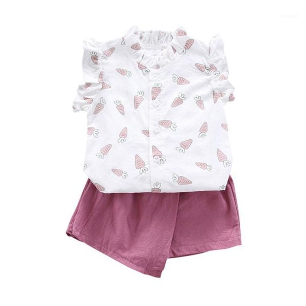 cotton baby girl clothes cute casual fully printed carrots t-shirt shorts pants set toddler kids summer outfits1, White
cotton baby girl clothes cute casual fully printed carrots t-shirt shorts pants set toddler kids summer outfits1, White