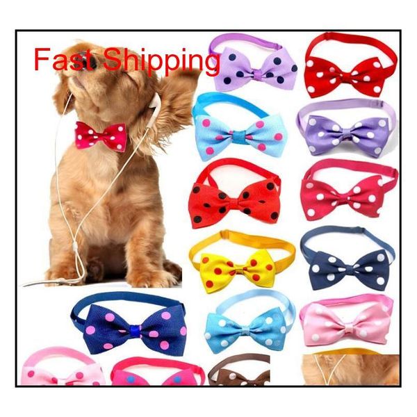 supply dog accessories cats bow tie adjustable neck strap cat dog grooming accessories cat necklac qylszq bde_luck
supply dog accessories cats bow tie adjustable neck strap cat dog grooming accessories cat necklac qylszq bde_luck