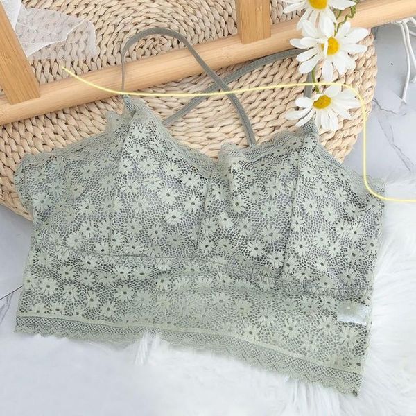summer small daisies cross beautiful back wrapped chest anti-glare lace underwear removable chest pad female bra1, Red;black
summer small daisies cross beautiful back wrapped chest anti-glare lace underwear removable chest pad female bra1, Red;black