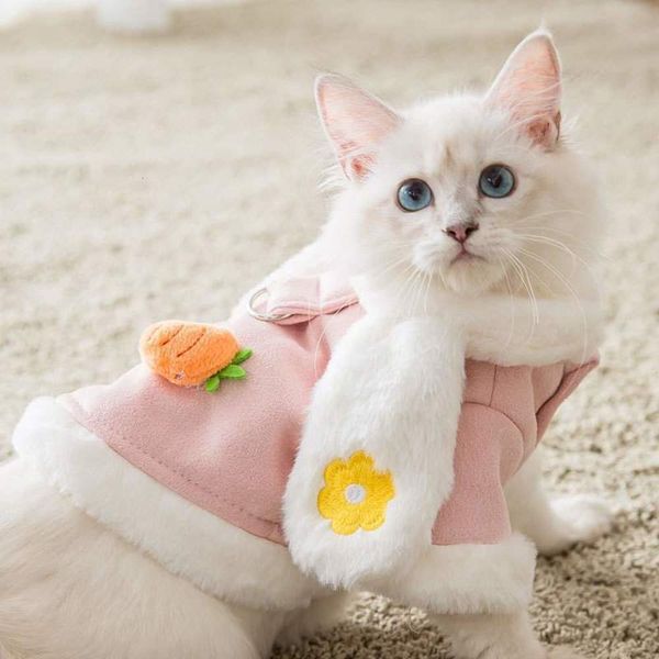 straight cute princs cotton coat little cloth cat teddy pet bear bomei puppy small dog
straight cute princs cotton coat little cloth cat teddy pet bear bomei puppy small dog
