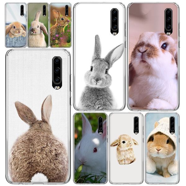 cute white baby rabbits phone case cover for huawei p40 p30 p20 p10 mate 30 20 10 p smart z pro plus lite coque capa shell
cute white baby rabbits phone case cover for huawei p40 p30 p20 p10 mate 30 20 10 p smart z pro plus lite coque capa shell