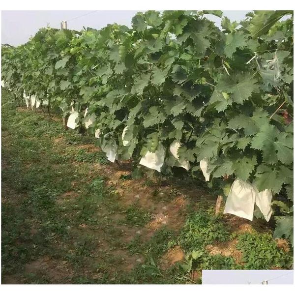fabric fruit plants flowers seeds protection netting bags prevent birds bugs squirrels for garden farm for protec qylids mj_bag
fabric fruit plants flowers seeds protection netting bags prevent birds bugs squirrels for garden farm for protec qylids mj_bag