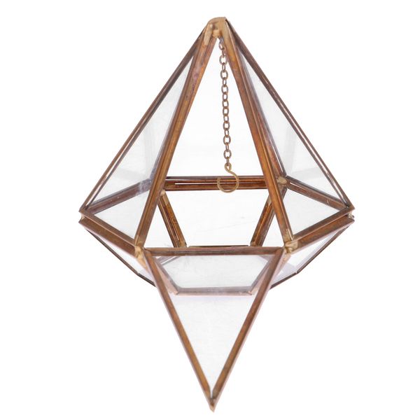 vertebral glass hanging geometric terrarium tablesucculent air planter