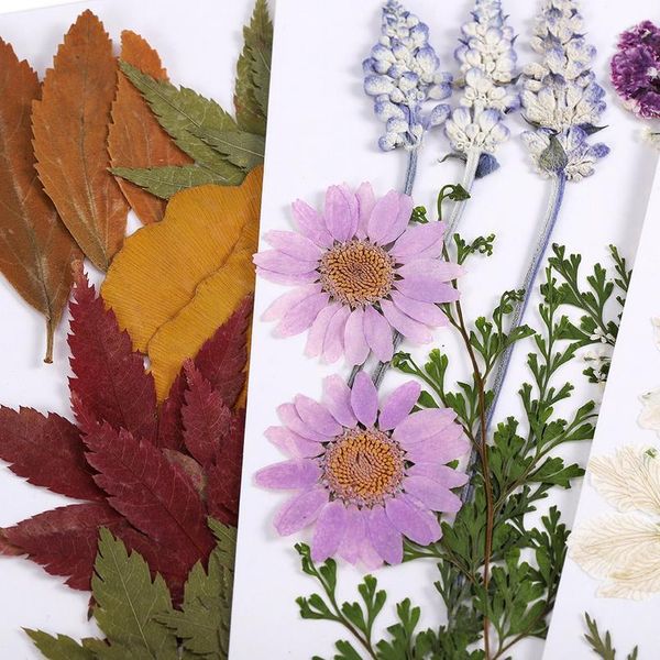 1bag diy dried flowers resin mold fillings real dried flower dry plants scented candle jewelry making craft diy acc jllfun
1bag diy dried flowers resin mold fillings real dried flower dry plants scented candle jewelry making craft diy acc jllfun