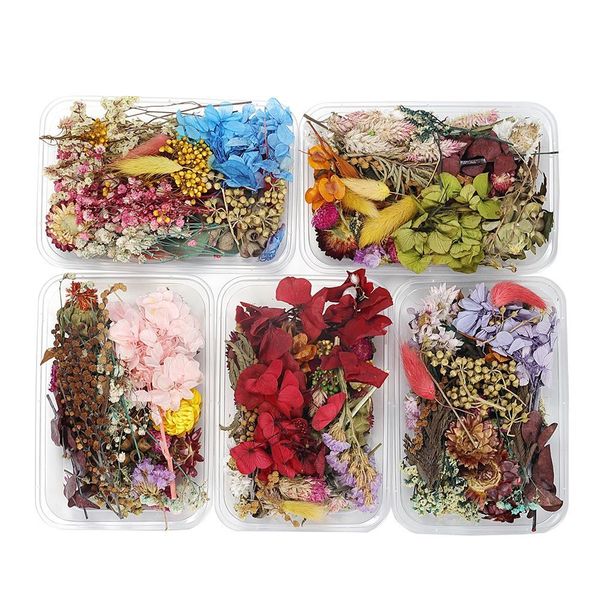 1box random mix style dried flowers decoration natural floral sticker beauty nail art decals epoxy mold diy filling jewelry h bbyjqx
1box random mix style dried flowers decoration natural floral sticker beauty nail art decals epoxy mold diy filling jewelry h bbyjqx