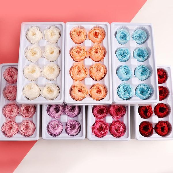 4-5cm 8 pcs/box austin rose preserved flowers immortal rose mothers day gift diy wedding gift box level a
4-5cm 8 pcs/box austin rose preserved flowers immortal rose mothers day gift diy wedding gift box level a