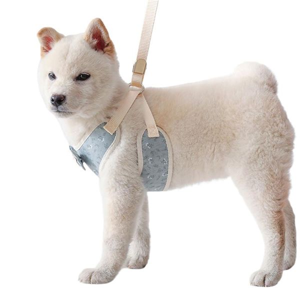 dog collars & leashes adjustable harness vest walking lead leash for puppy dogs collar polyester mesh small medium cat pet
dog collars & leashes adjustable harness vest walking lead leash for puppy dogs collar polyester mesh small medium cat pet
