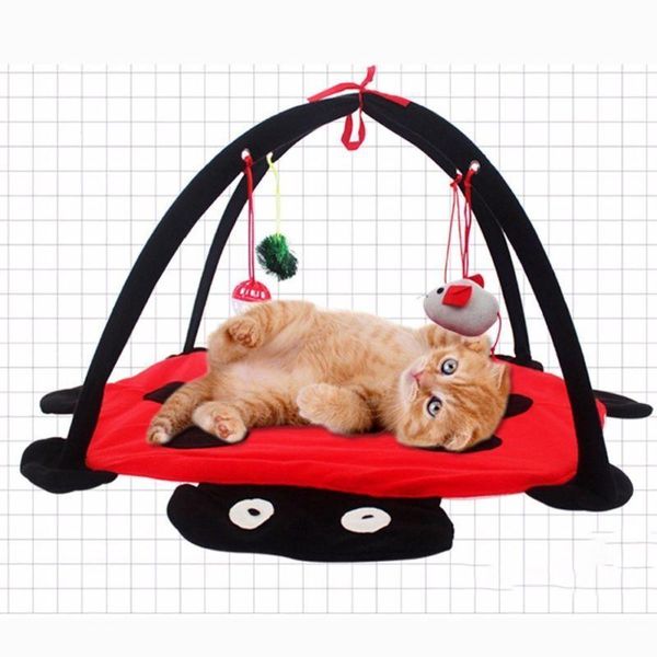 cat beds & furniture bed tent pet hammock activity play pad toy cartoon fun ring bell playing foldable exercise kitten soft mat
cat beds & furniture bed tent pet hammock activity play pad toy cartoon fun ring bell playing foldable exercise kitten soft mat