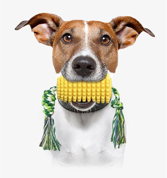 pet supplies new products selling selling dog toy corn molar rod resistance bite toothbrush dog traction rope lanyard to
pet supplies new products selling selling dog toy corn molar rod resistance bite toothbrush dog traction rope lanyard to