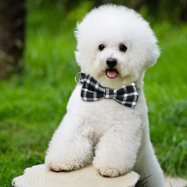 fashion bowtie puppy dog collar gentleman bowknot kitten cat collars adjustable for small medium cats dogs ch wmtuez 
fashion bowtie puppy dog collar gentleman bowknot kitten cat collars adjustable for small medium cats dogs ch wmtuez