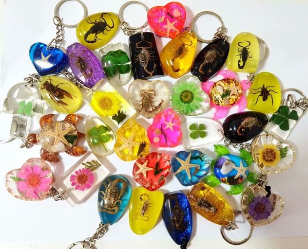 100 pcs dried flowers real insect four leaf clover mixed colorful vintage lucid back style keychain for women gift jewelry, Slivery;golden
100 pcs dried flowers real insect four leaf clover mixed colorful vintage lucid back style keychain for women gift jewelry, Slivery;golden