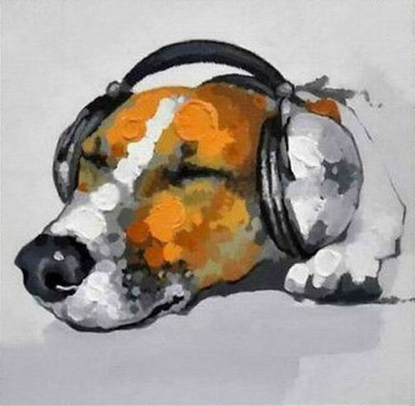 animal cute dog listening to music framed & unframed home decor handcrafts /hd print oil painting on canvas wall art canvas pictures er41
animal cute dog listening to music framed & unframed home decor handcrafts /hd print oil painting on canvas wall art canvas pictures er41