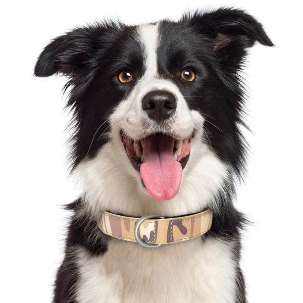 adjustable dog leather collar for small medium large dogs pet camouflage collar s m l xl pet wmtmhj
adjustable dog leather collar for small medium large dogs pet camouflage collar s m l xl pet wmtmhj