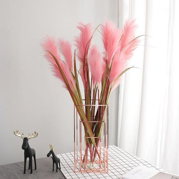 natural dried pampas grass fake flowers wedding flower bunch for home decor rated dried flowers pampas grass decor1
natural dried pampas grass fake flowers wedding flower bunch for home decor rated dried flowers pampas grass decor1
