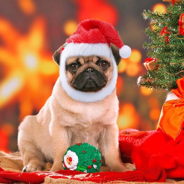 dog cat hat costume christams dogs hats cap necklace with bell pet supplies for christmas festival dog acc jlllgz
dog cat hat costume christams dogs hats cap necklace with bell pet supplies for christmas festival dog acc jlllgz