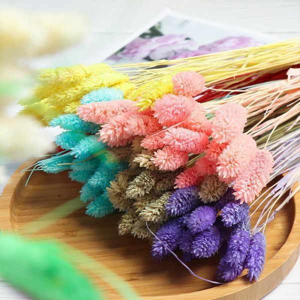 20pcs colorful tail artificial uraria picta grass tails dried flowers natural material pastoral style wedding home1
20pcs colorful tail artificial uraria picta grass tails dried flowers natural material pastoral style wedding home1