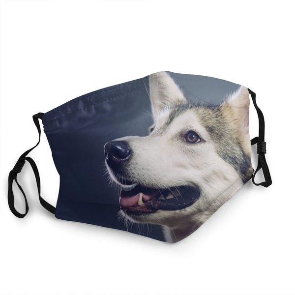 beautiful dog face mask reusable and fashionable anti-dust neck gaiter balaclava windproof mouth protection printing mouth
beautiful dog face mask reusable and fashionable anti-dust neck gaiter balaclava windproof mouth protection printing mouth