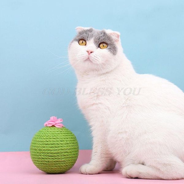 cat toys scratching ball eco-friendly sisal cactus shaped tumbler toy teaser bell balls with catnip drop
cat toys scratching ball eco-friendly sisal cactus shaped tumbler toy teaser bell balls with catnip drop