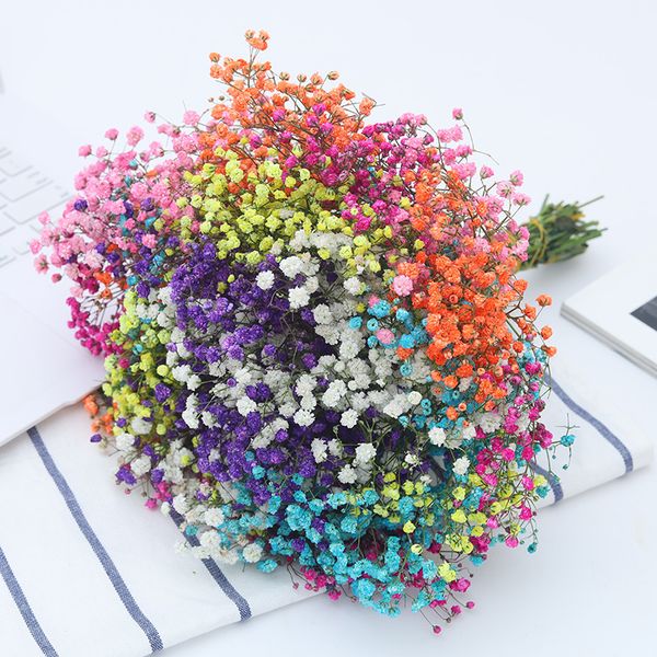 real white bouquet starry dried flowers home decoration small fresh ornaments christmas gifts
real white bouquet starry dried flowers home decoration small fresh ornaments christmas gifts