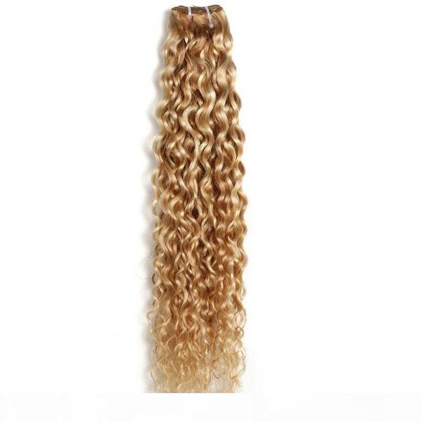 ombre brazilian water wave p27 613 two tone human hairy extensions weave bundles auburn remy hair 12 "-24" 1 bundly, Black;brown
ombre brazilian water wave p27 613 two tone human hairy extensions weave bundles auburn remy hair 12 "-24" 1 bundly, Black;brown
