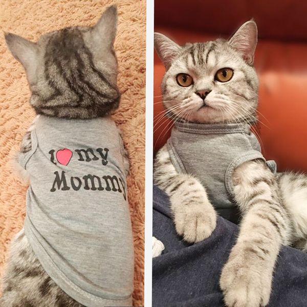 cute cat clothes spring summer pet clothing for cat fashion pet jacket printed vest costume funny apparel cat clothing
cute cat clothes spring summer pet clothing for cat fashion pet jacket printed vest costume funny apparel cat clothing