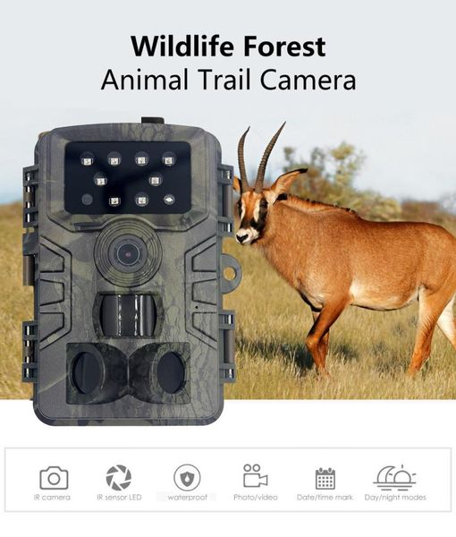 cameras 20 mp 1080p hunting trail camera wildlife night vision motion activated outdoor scouting
cameras 20 mp 1080p hunting trail camera wildlife night vision motion activated outdoor scouting