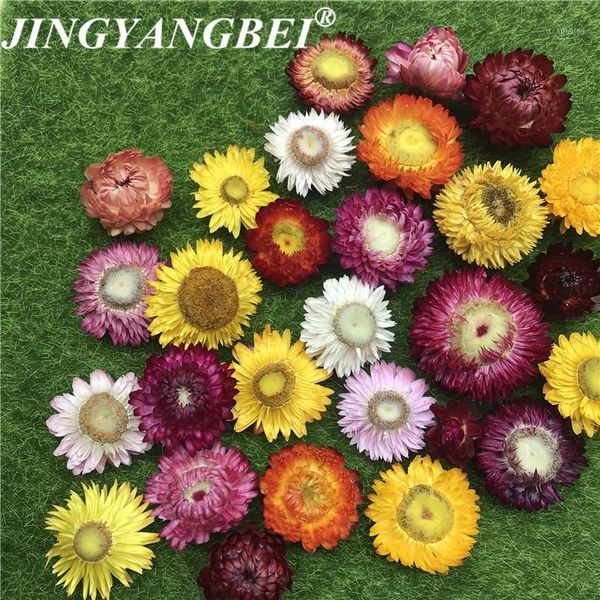 50g&150g natural colorful chrysanthemum dried flower heads wedding flower centerpieces dry preserved1
50g&150g natural colorful chrysanthemum dried flower heads wedding flower centerpieces dry preserved1