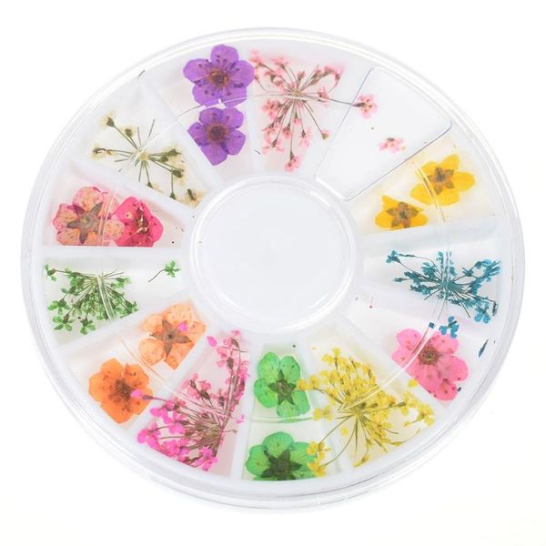 nail art decorations 12 color/box nature dry flowers set gel polish 3d floral slices tips salon manicure decals decoration christmas makeup, Silver;gold
nail art decorations 12 color/box nature dry flowers set gel polish 3d floral slices tips salon manicure decals decoration christmas makeup, Silver;gold