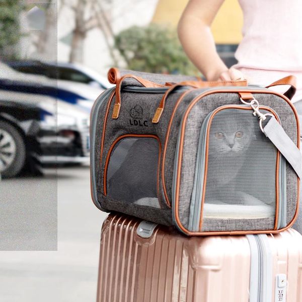 dog carrier cat backpack for dog shoulder bag for pets portable breathable foldable single-shoulder pet out carrying bags
dog carrier cat backpack for dog shoulder bag for pets portable breathable foldable single-shoulder pet out carrying bags