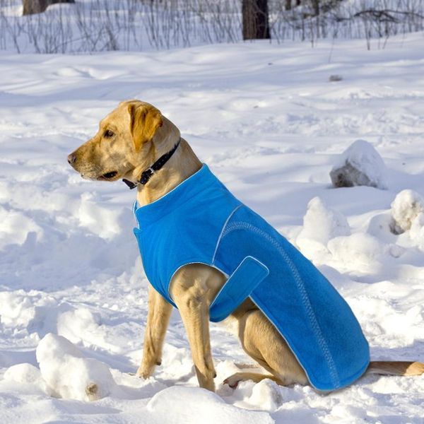 winter fleece dog coat jacket for small dogs chihuahua pug warm puppy large dogs vest clothing reflective roupa cachor bbynyd
winter fleece dog coat jacket for small dogs chihuahua pug warm puppy large dogs vest clothing reflective roupa cachor bbynyd