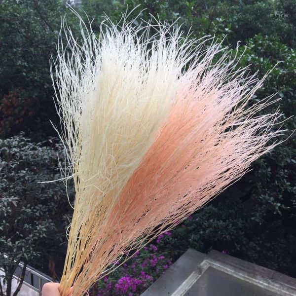10pcs/bouquet,natural preserved flowers,real eternal plant rushes for wedding party home decoration accessories,display flowers1
10pcs/bouquet,natural preserved flowers,real eternal plant rushes for wedding party home decoration accessories,display flowers1