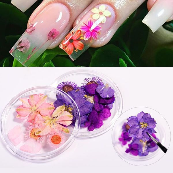 1 box dried flowers nail art decorations natural dried flowers red green mixed colors 3d nails diy beauty design decorations, Silver;gold
1 box dried flowers nail art decorations natural dried flowers red green mixed colors 3d nails diy beauty design decorations, Silver;gold