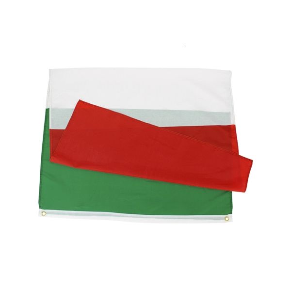 in stock 3x5ft 90x150cm hanging green white red strip ita it italy italian flag and banner for decorations
in stock 3x5ft 90x150cm hanging green white red strip ita it italy italian flag and banner for decorations