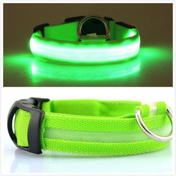 safety glow nylon led collar flashing night in the dark dog leash dogs luminous fluorescent collars pet supplies
safety glow nylon led collar flashing night in the dark dog leash dogs luminous fluorescent collars pet supplies
