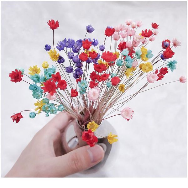 30pcs happy flower small natural dried flower bouquet mini flower for diy wedding home decor accessories fake pho jlldpv
30pcs happy flower small natural dried flower bouquet mini flower for diy wedding home decor accessories fake pho jlldpv