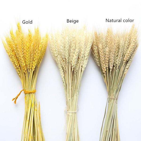 decorative flowers & wreaths 50/100pcs artificial wheat ears natural dried grain bouquet for wedding party decoration three color jh89
decorative flowers & wreaths 50/100pcs artificial wheat ears natural dried grain bouquet for wedding party decoration three color jh89