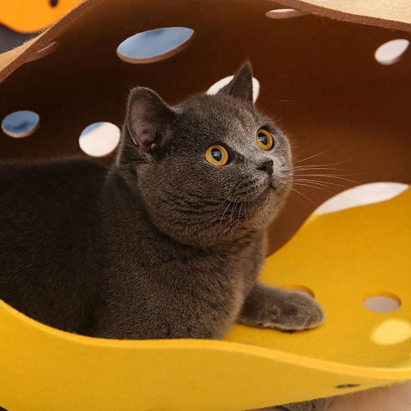 pet tunnel funny cat tunnel 2 holes play tubes balls collapsible crinkle kitten toys puppy ferrets rabbit play dog tunnel tubes wmtjru
pet tunnel funny cat tunnel 2 holes play tubes balls collapsible crinkle kitten toys puppy ferrets rabbit play dog tunnel tubes wmtjru
