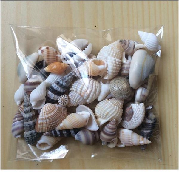 happykiss lot of funny mixed sea shells shell craft aquarium nautical decor ornaments natural mini conch medit qylhpf 
happykiss lot of funny mixed sea shells shell craft aquarium nautical decor ornaments natural mini conch medit qylhpf