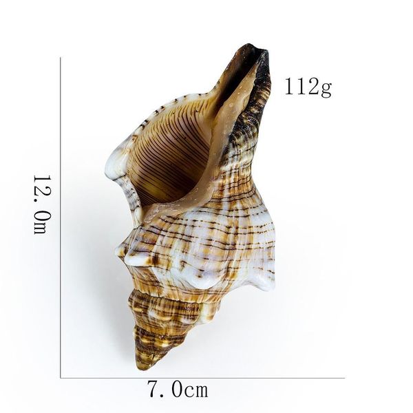 1 шт. натуральный раковины shofar shell nautical home decor образец craft полосатая улитка раковины аквариум ландшафт рыбный танк декор h bb
1 шт. натуральный раковины shofar shell nautical home decor образец craft полосатая улитка раковины аквариум ландшафт рыбный танк декор h bb