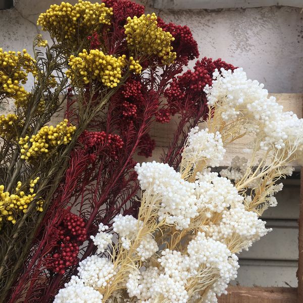 100g/30cm preserved mi flower ,nature fresh eternell floral, wedding favor home valentine'sday gift decoration ,eternelle rose 1022
100g/30cm preserved mi flower ,nature fresh eternell floral, wedding favor home valentine'sday gift decoration ,eternelle rose 1022
