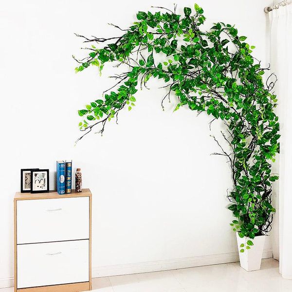 real touch artificial plants vivid ivy vines leaf garland grass grape leaves rattan wall hanging home garden party wedding decor
real touch artificial plants vivid ivy vines leaf garland grass grape leaves rattan wall hanging home garden party wedding decor