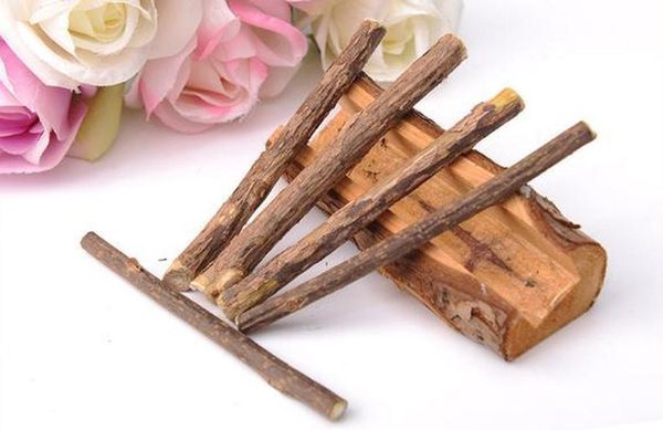 natural chiscat pet cat molar toothpaste chew stick matatabi cat snacks sticks cat cleaning teeth treat wmtasr dh_garden
natural chiscat pet cat molar toothpaste chew stick matatabi cat snacks sticks cat cleaning teeth treat wmtasr dh_garden