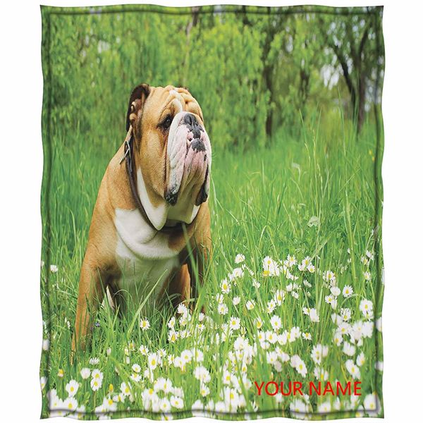 anglish bulldog кровать одеяло, парк весной с цветущими ромашками и деревьями и бульдогом diy одеяло, машина моющиеся, мягкие удобные дышащи
anglish bulldog кровать одеяло, парк весной с цветущими ромашками и деревьями и бульдогом diy одеяло, машина моющиеся, мягкие удобные дышащи