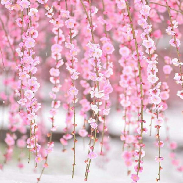 fengrise 2х розового sakura цветок вишня rattan свадебная арка цветы для свадебного backdrop искусственных цветов свадебных висячего garland
fengrise 2х розового sakura цветок вишня rattan свадебная арка цветы для свадебного backdrop искусственных цветов свадебных висячего garland