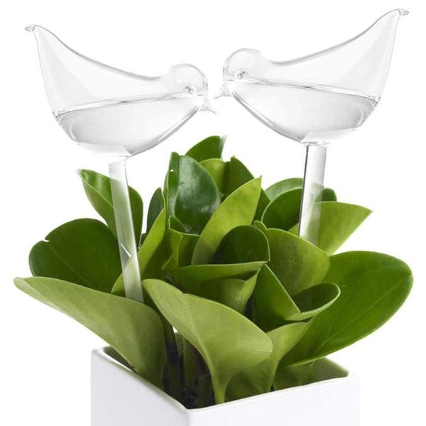 2 types pvc matic watering device house/garden houseplant star bird shapewatering cans gardening tools and e bbyvrd 
2 types pvc matic watering device house/garden houseplant star bird shapewatering cans gardening tools and e bbyvrd