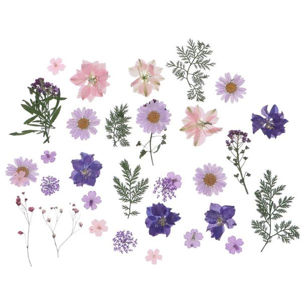 decorative flowers & wreaths 27pcs/set pressed dried diy scrapbooking flower for home wedding
decorative flowers & wreaths 27pcs/set pressed dried diy scrapbooking flower for home wedding