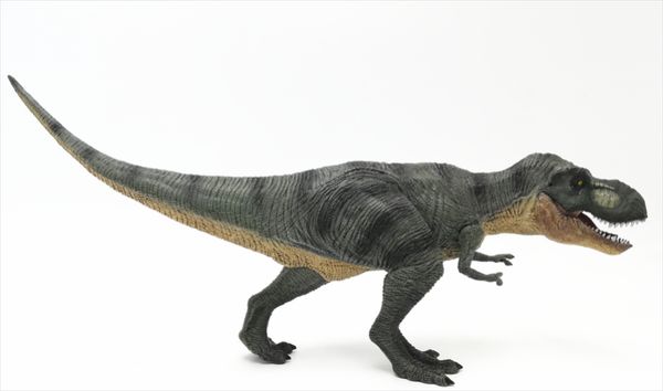 dinosaur model tyrannosaurus simulation model boy gift children's toys educational toys
dinosaur model tyrannosaurus simulation model boy gift children's toys educational toys