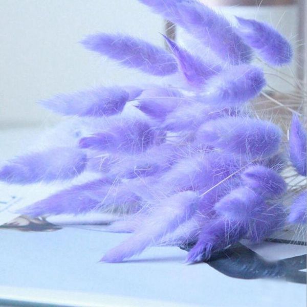 30pcs/lot natural dried flowers rabbit tail grass bunch colorful lagurus ovatus real flower bouquet for home wedding de jllztm
30pcs/lot natural dried flowers rabbit tail grass bunch colorful lagurus ovatus real flower bouquet for home wedding de jllztm